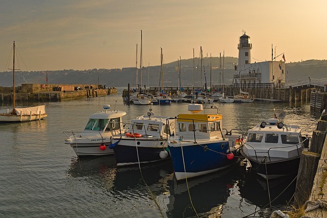 Optimizing Telecom Costs: Scarborough Businesses Thrive with Bill Negotiation