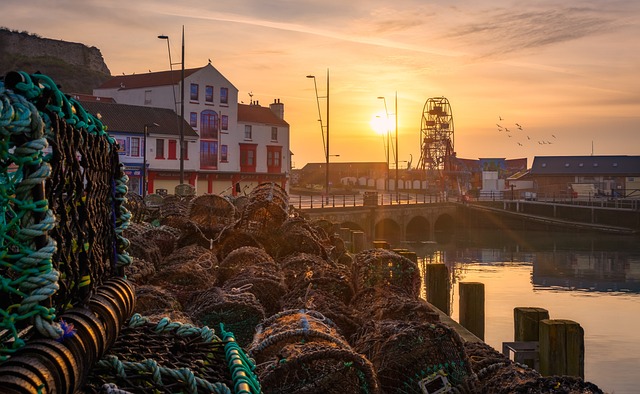 Business Telecom Bill Negotiation Service Scarborough