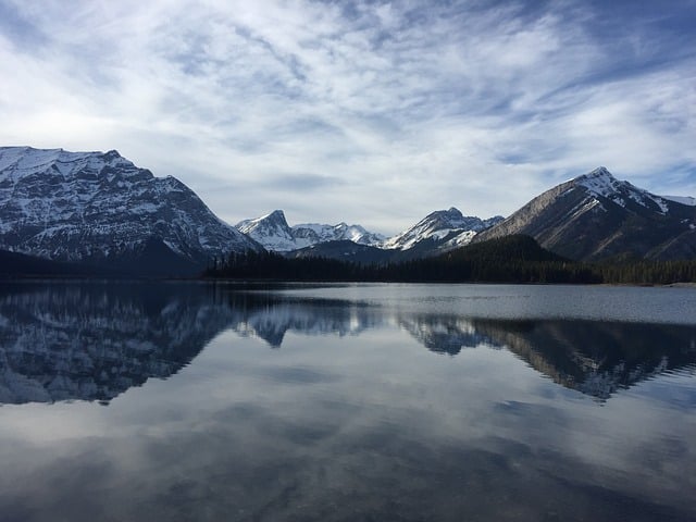 Master Your Budget: Cost Reduction Consulting Canada for Business Success