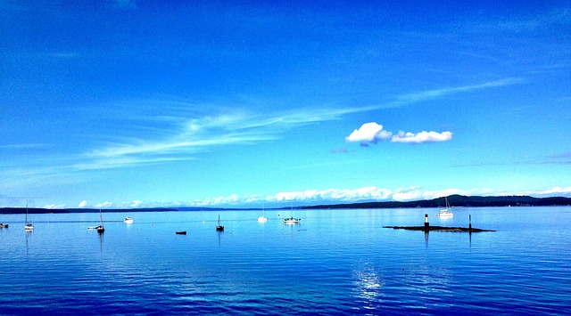 Cost Reduction Consulting Canada