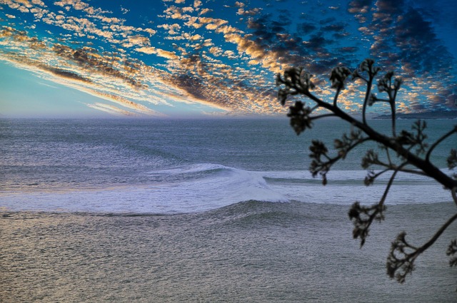 Optimizing Operational Costs: Strategies for Newmarket Success