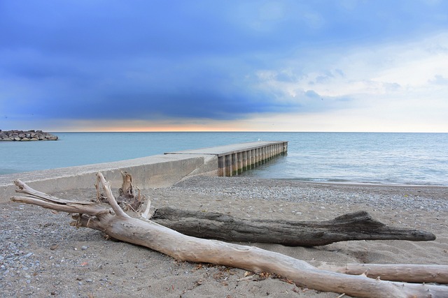 Cost Reduction Consulting in Toronto