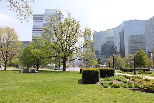 Cost Reduction Consulting in Toronto