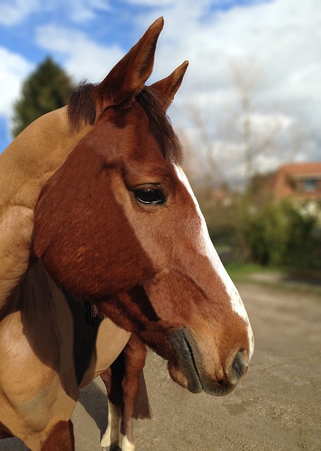 Unleash Cost Savings: Negotiate Small Business Bills Without Lawyer