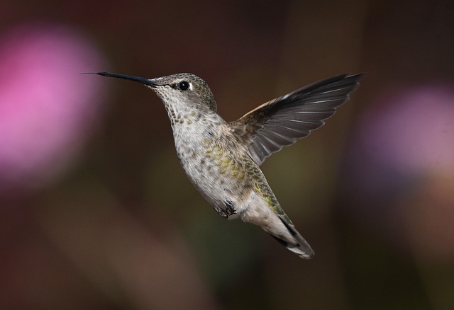 Small Business Bill Negotiation Service Vaughan