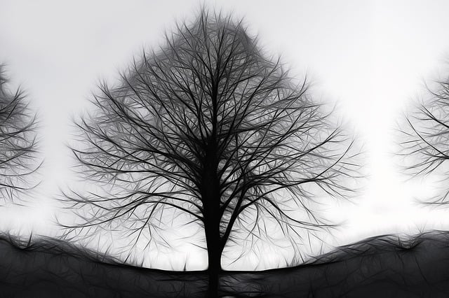 Cost Reduction Consulting Canada