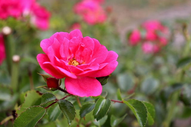 Streamline Expenses: Cost Reduction Consulting in Collingwood’s Guide