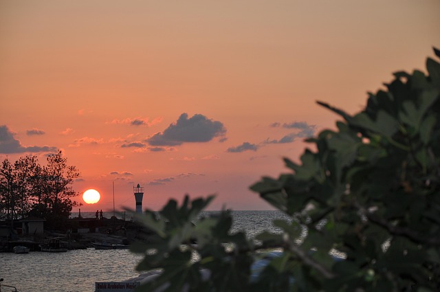 Cost Reduction Consulting in Collingwood