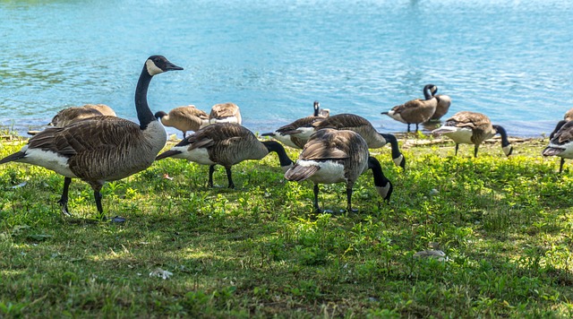 Cost Reduction Consulting in Toronto