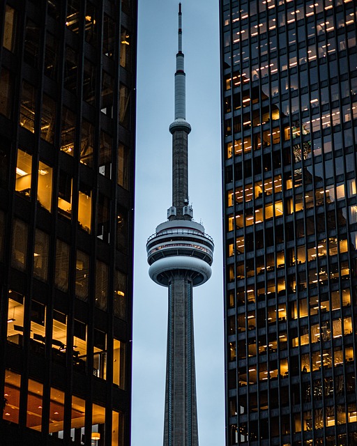 Cost Reduction Consulting in Toronto