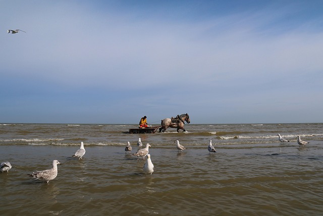 Master Budgeting: Cost Reduction Strategies for Barrie Businesses