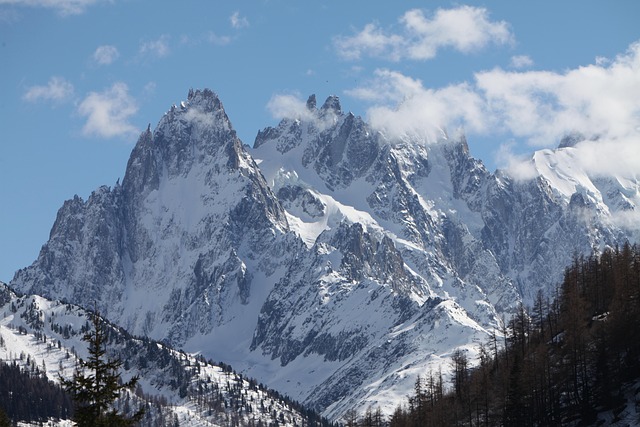 Service to Negotiate Small Business Bills Without a Lawyer