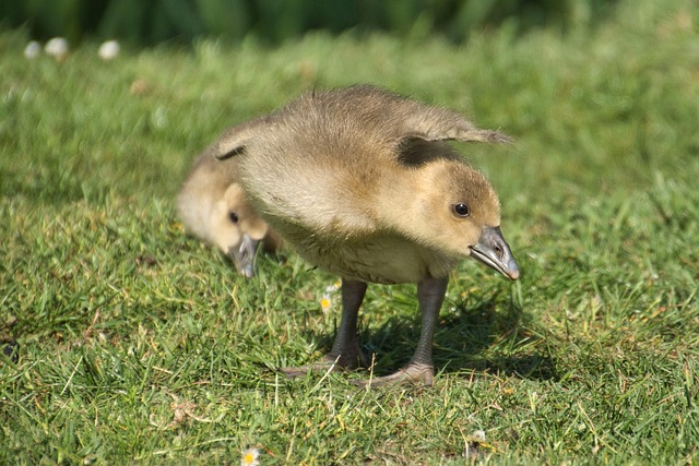 Small Business Bill Negotiation Service Canada