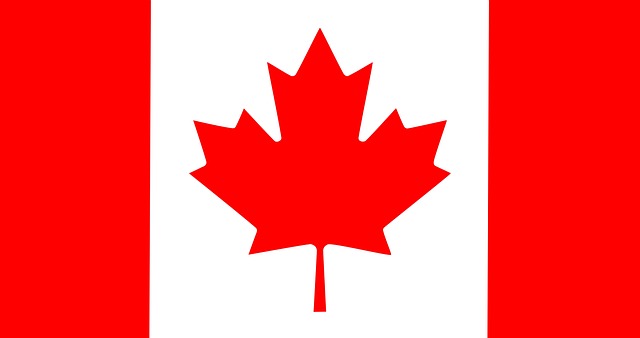 Maximize Marketing ROI: Cost Reduction Consulting Canada