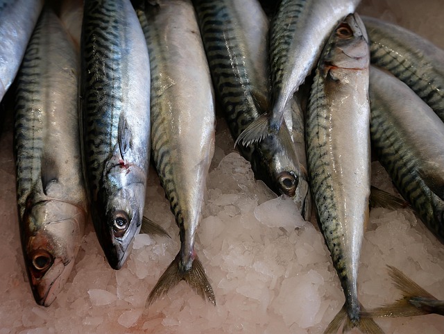 Optimize Pricing: Cost Reduction Consulting for Collingwood Success