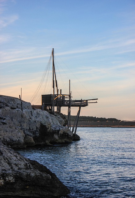 Cost Reduction Consulting in Collingwood