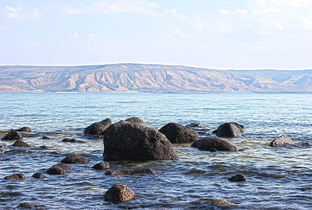 Cost Reduction Consulting in Markham