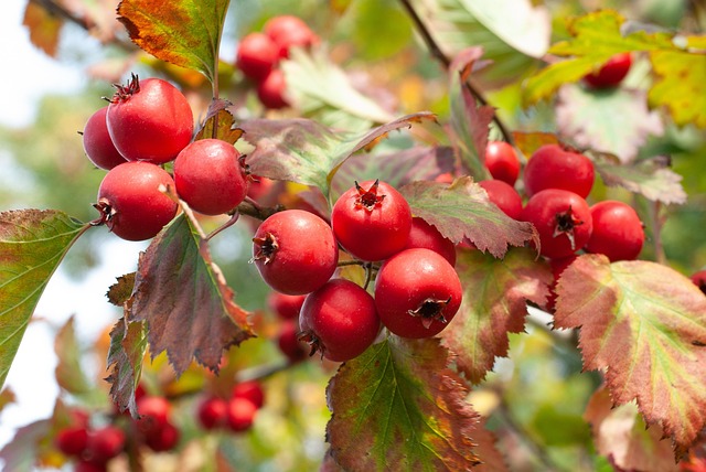 Cost Reduction Consulting in Markham