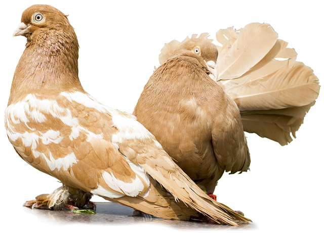 Master Invoicing: Save Money Through Strategic Negotiation & Automation